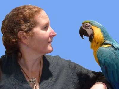 Student of Qigong Awareness, LLC shares after completing Live Workshop with David J. Coon
