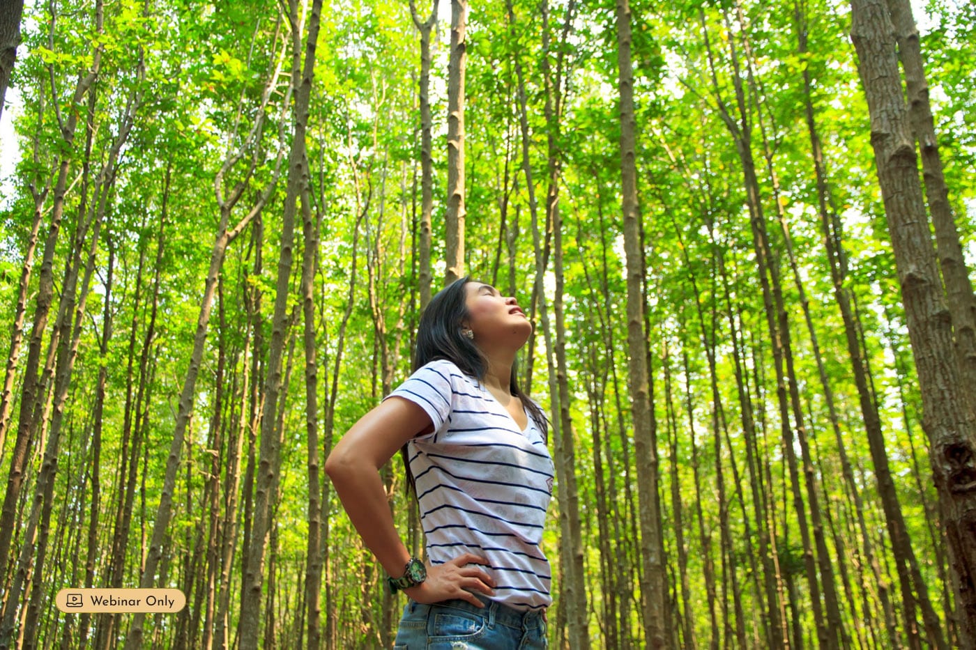 Older woman doing Qigong exercises - Webinar event - larger version